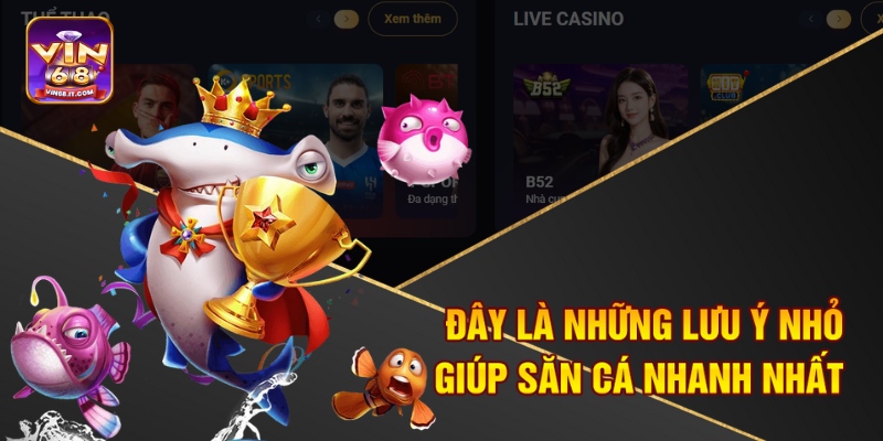  Đây là những lưu ý nhỏ giúp săn cá nhanh nhất